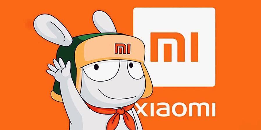 Корпорация Xiaomi - обзор существующих брендов и дочерних компаний