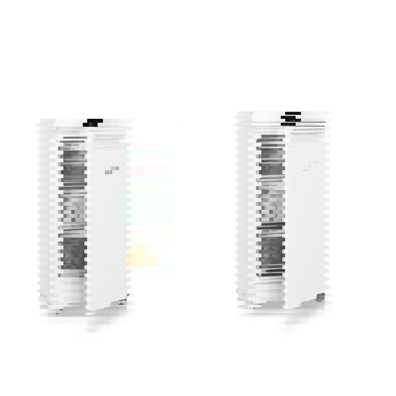 Морозильная камера Liebherr LIEBHERR Fe 1003-20 001 - Миниатюра 1