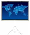 Экран переносной Cactus Triscreen (CS-PST-150x150); 1500х1500