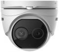 Тепловизионная камера двухспектральная купольная Hikvision DS-2TD1217-6/V1;