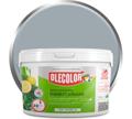 Эмаль акриловая Olecolor (4300002566); серый; 2