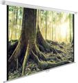 Экран потолочно-настенный Cactus WallExpert (CS-PSWE-220x220-WT); 2200х2200