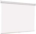 Экран потолочно-настенный Lumien Eco Picture (LEP-100102);